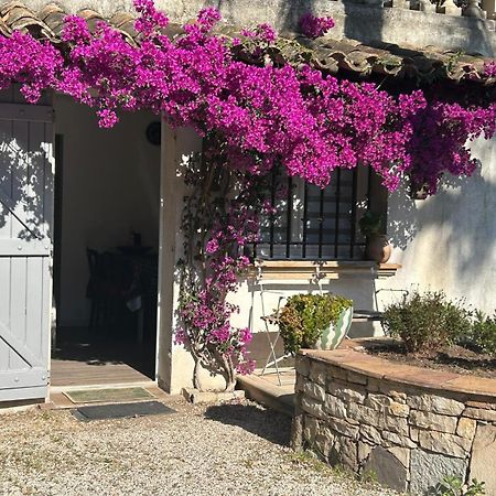 Les Palmiers Apartment Frejus Exterior photo