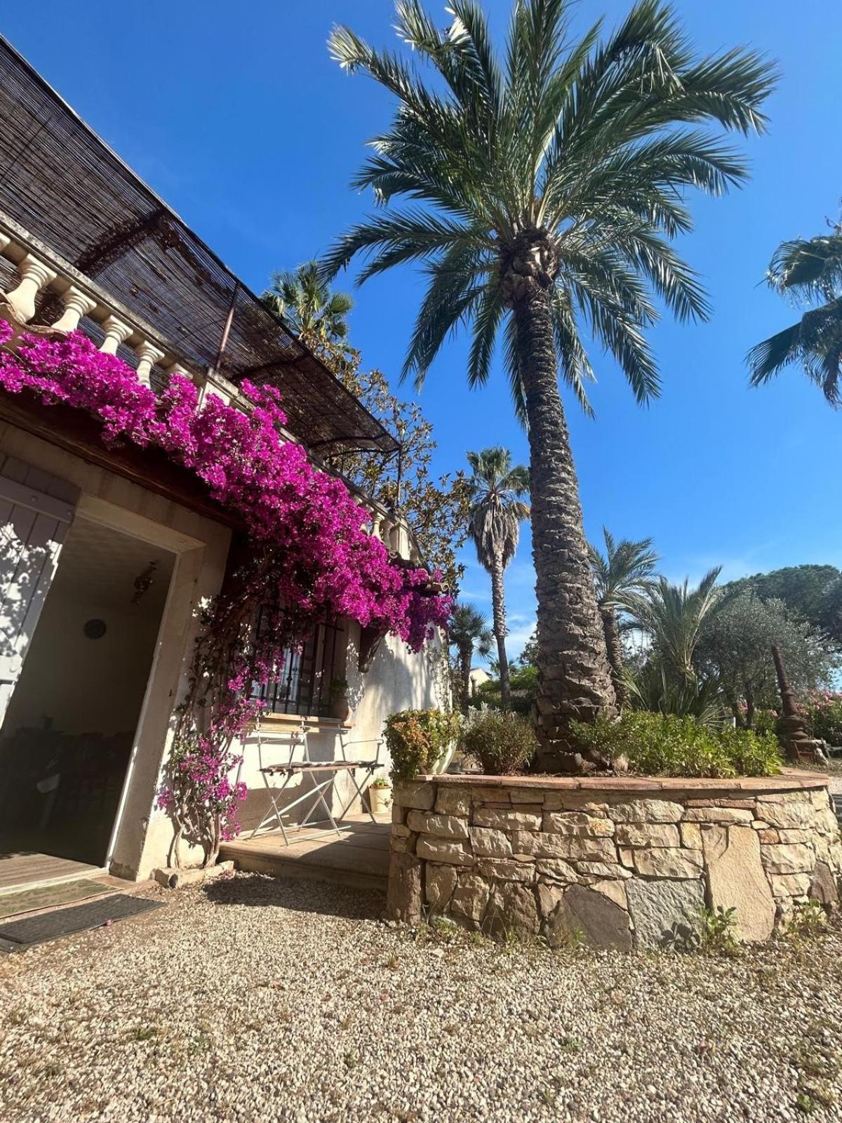 Les Palmiers Apartment Frejus Exterior photo